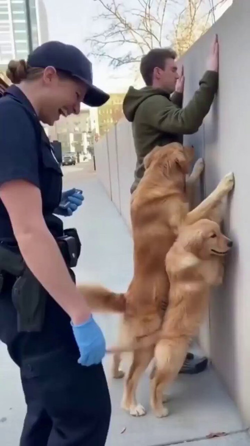 FULjhDO1 tK86iqs.jpg