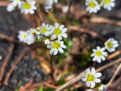 HC n3wWWwAAPkSe?format=jpg.jpg