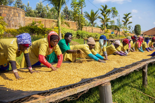 HC F1wgbQAAKQnn?format=jpg.jpg