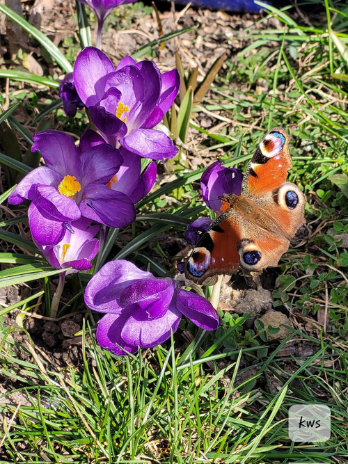 HC uTqtXwAEaeSv?format=jpg.jpg