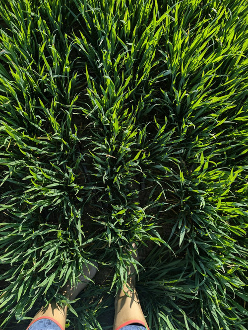 HC At71XQAAuY0z?format=jpg.jpg