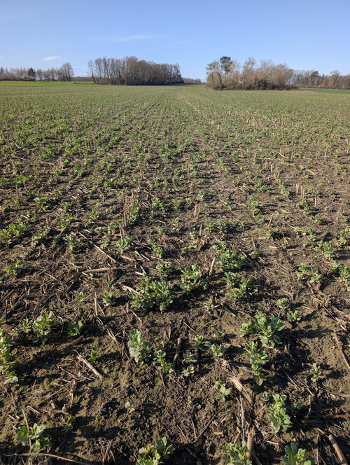 HC At9QaEAAvQZW?format=jpg.jpg