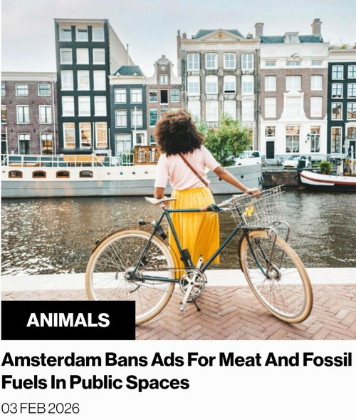 HC3 p7eXcAAID w?format=jpg.jpg