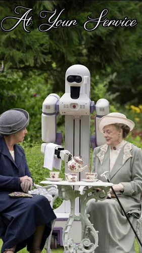 p0tCHjxab2lch ZP.jpg