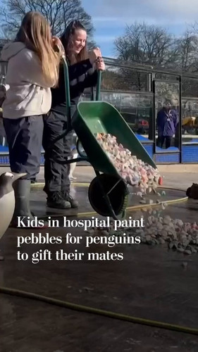 w9M5I yEcx03BEEk.jpg