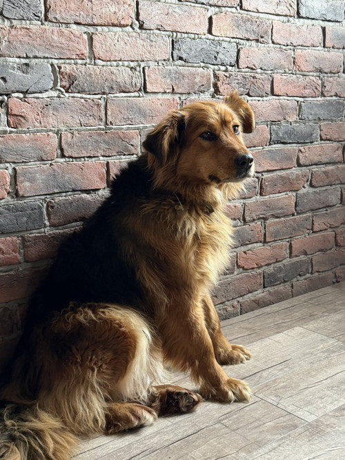 HC UGdwWcAA9ROQ?format=jpg.jpg