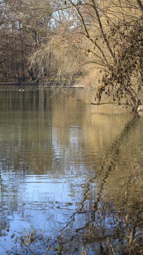 HC8 jQNXwAAz T7?format=jpg.jpg