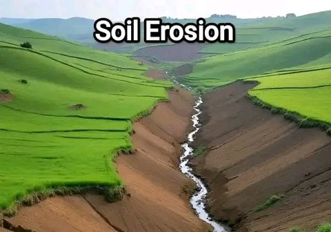 HC fdYyWAAEMGIA?format=jpg.jpg