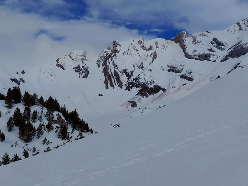 HC qqtlWEAAx2nb?format=jpg.jpg