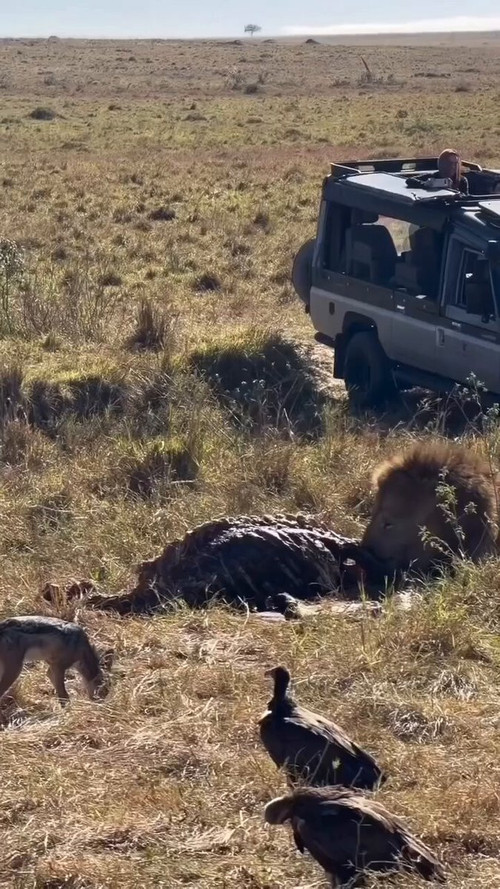 m5QknuikmPx lHSA.jpg