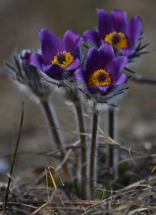 HC fq6vXcAASDU ?format=jpg.jpg