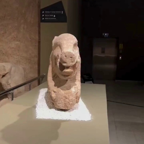 YMcoSXNj RZrK221.jpg