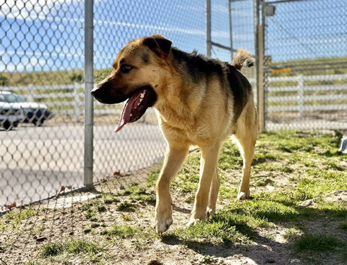 HC cvtBXAAA3GEj?format=jpg.jpg