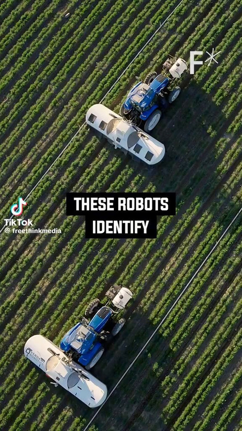 0D5nrpk9jQl6M Zo.jpg