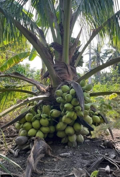 HC ojWbXMAAyHEk?format=jpg.jpg