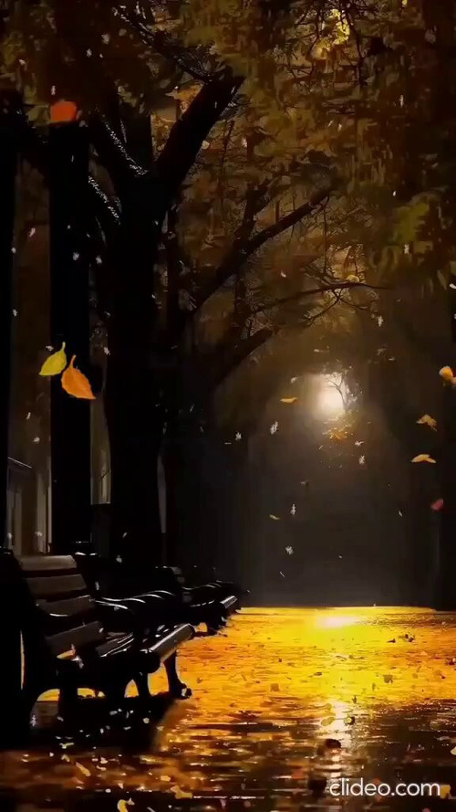 16ZyceMs OkGC8oX.jpg