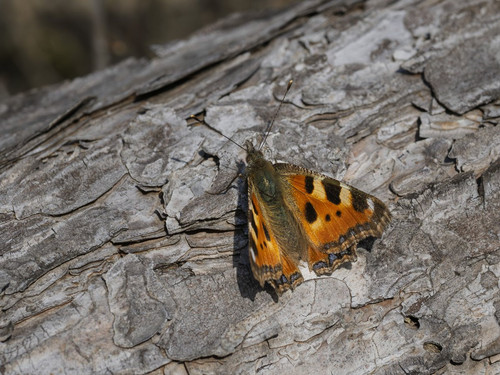 HC ay1TbYAAbpDS?format=jpg.jpg