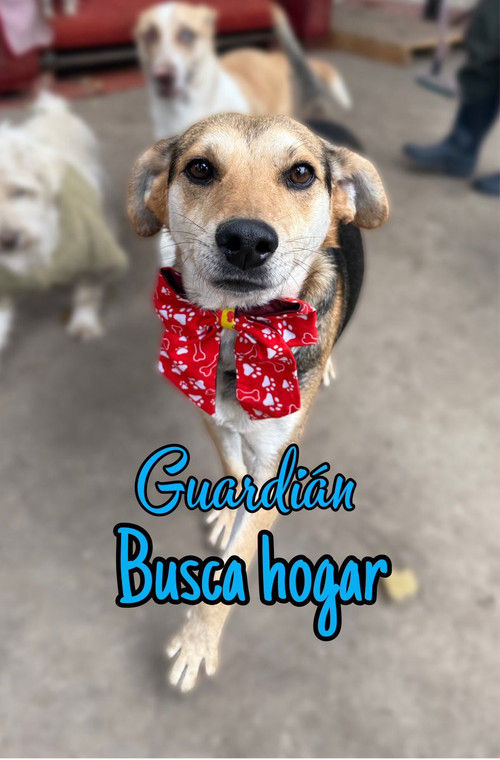 HC RMyrW8AE51E1?format=jpg.jpg