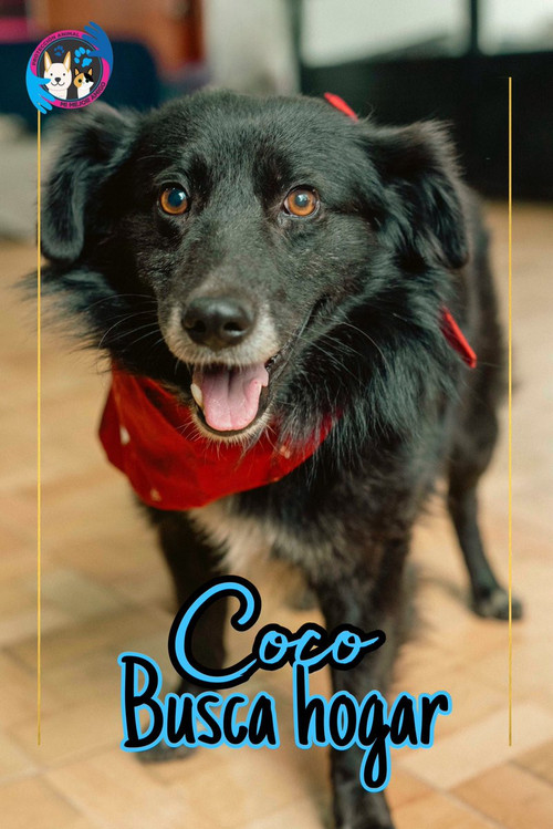 HC RMyqW0AArWVj?format=jpg.jpg