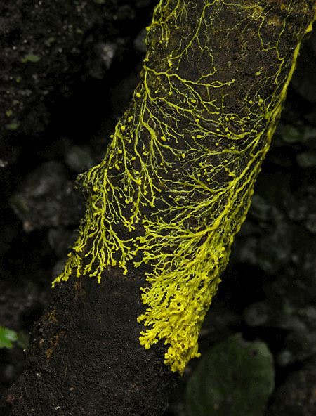 HC kEyDbQAAaIwo?format=jpg.jpg