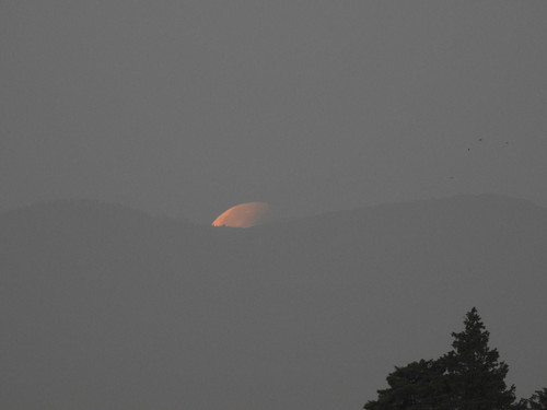 HC 07OuWwAEkfHM?format=jpg.jpg