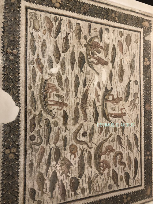 HC FvuyaQAEIt0A?format=jpg.jpg