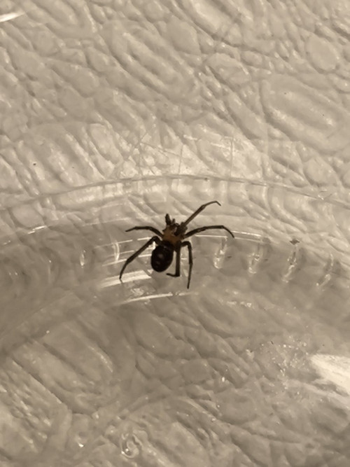 HC z7V5bcAA6NBb?format=jpg.jpg