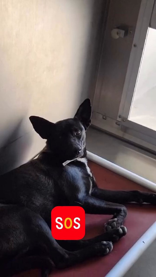 GtwHDu8IwA9VyQx .jpg