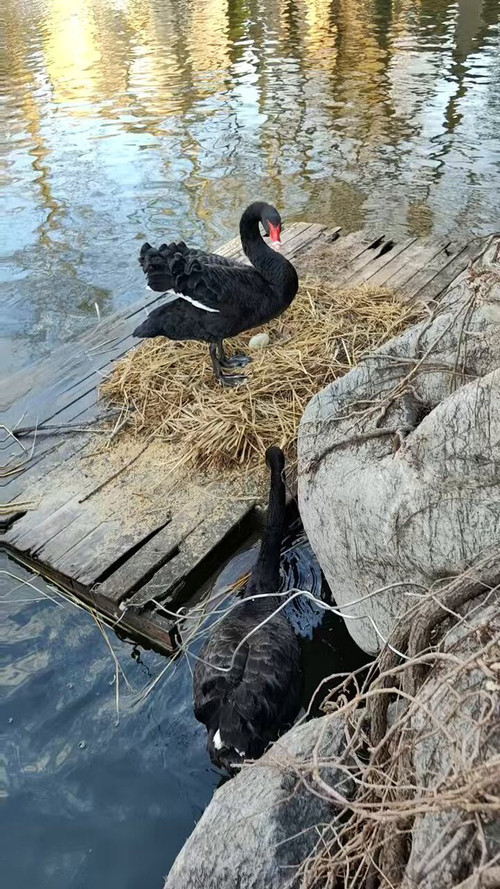 HDYnL7 zf3IXupiy.jpg