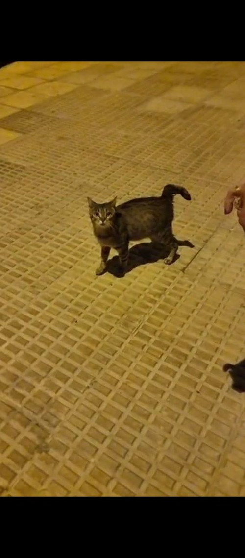 HC kIQkXMAEoFWo?format=jpg.jpg