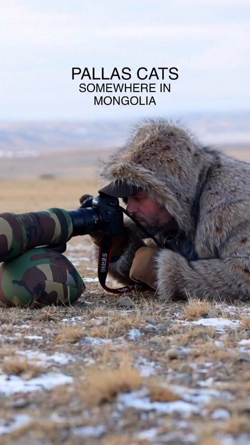 ZTNszWky3k MxZvt.jpg