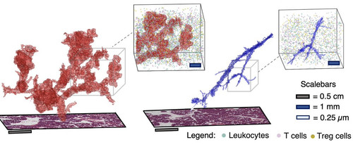 HC Ae40WkAEuVge?format=jpg.jpg