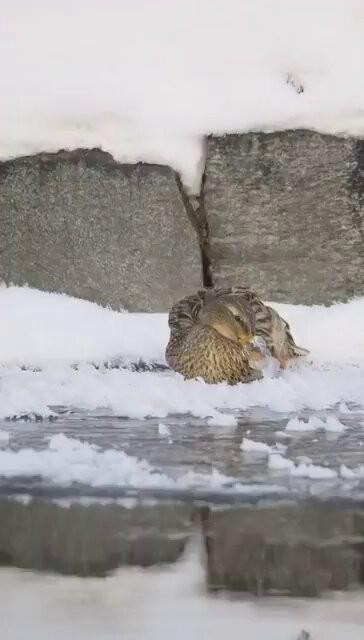 7xOiN3hwZpQfI 2M.jpg