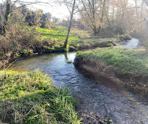 HC ljv WgAAwlNp?format=jpg.jpg