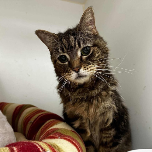 HC Z2VoWkAA72oz?format=jpg.jpg