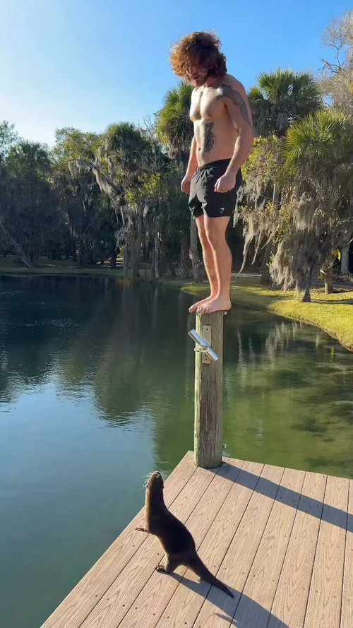 2I23dy5o0HTHHQB .jpg