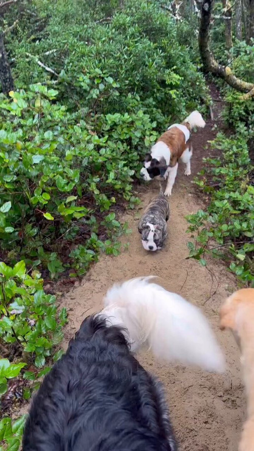 DnoYGNJtbrsOP lq.jpg