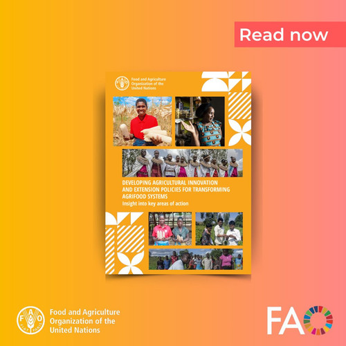 HC J5yEXUAA0SJs?format=jpg.jpg