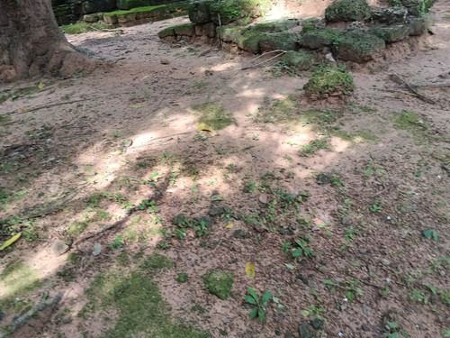 IMG 20251021 135733.jpg