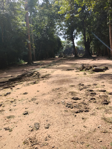 IMG 20251021 140213.jpg