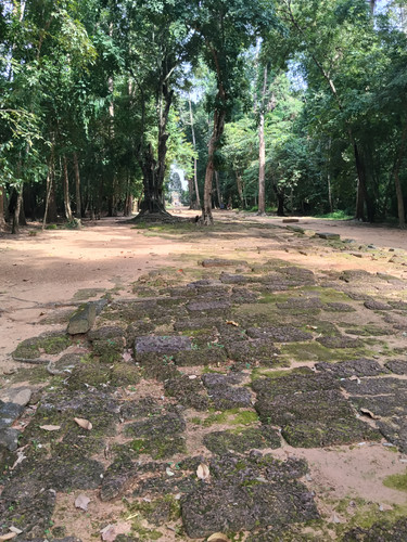 IMG 20251021 140007.jpg