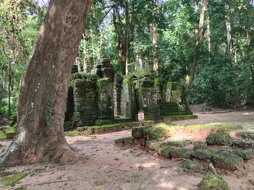 IMG 20251021 135735.jpg