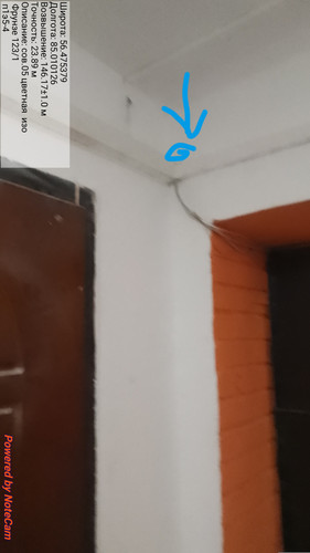 666.jpg