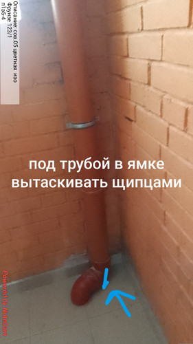 667.jpg