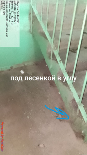 677.jpg