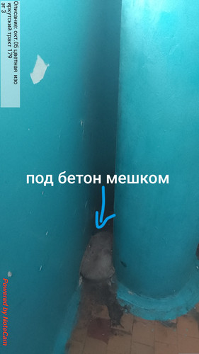 660.jpg