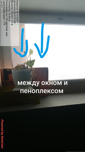 659.jpg