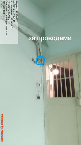 678.jpg