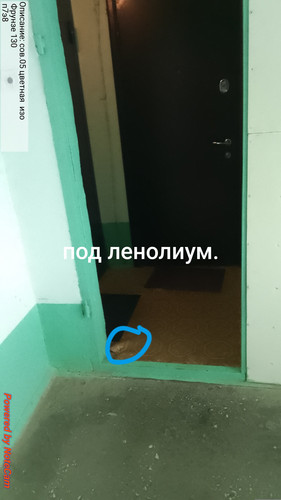 681.jpg