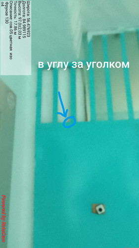 679.jpg